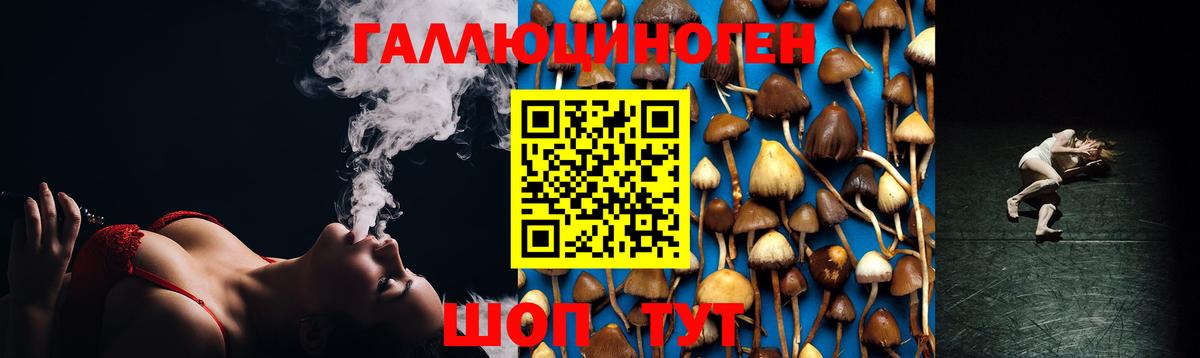 Галлюциногенные грибы Cubensis  Вход с VPN  Бахчисарай 